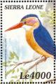 Colnect-3807-391-African-Pygmy-Kingfisher-Ispidina-picta.jpg