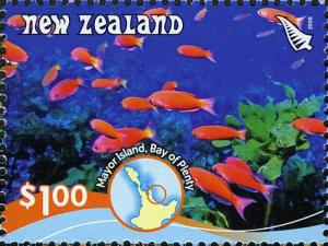 NZ002.08.jpg