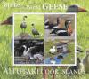 Colnect-7414-110-Geese.jpg