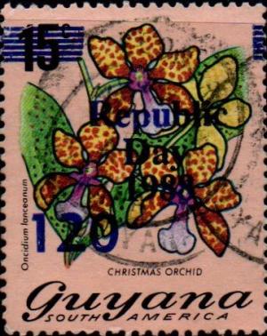 Colnect-4894-916-120-on-15c-Christmas-Orchid.jpg