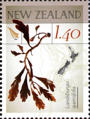 NZ006.14.jpg