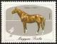 Colnect-587-391-Gidr-aacute-n-1-1935-Equus-ferus-caballus.jpg