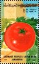 Colnect-4816-272-Tomato.jpg