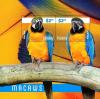 Colnect-4021-368-Macaws.jpg