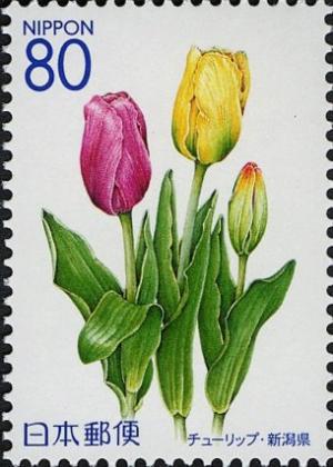 Colnect-4006-309-Tulips.jpg