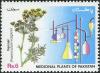 Colnect-2144-565-Fennel.jpg