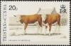 Colnect-4337-523-Cattle.jpg