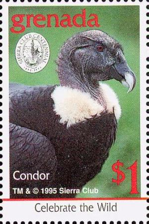 Colnect-4569-542-Condor.jpg