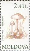 Colnect-191-724-Fungi.jpg