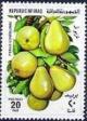 Colnect-2097-816-Pears.jpg