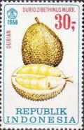 Colnect-1135-978-Durian.jpg