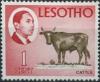Colnect-3453-410-King-Moshoeshoe-II-and-Cattle-Bos-primigenius-taurus.jpg