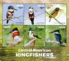 Colnect-4412-960-Central-American-Kingfishers-1.jpg