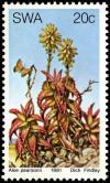 Colnect-5209-158-Aloe-pearsonii.jpg