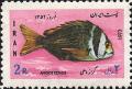 Colnect-1735-980-Porkfish-Anisotremus-virginicus.jpg