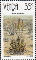 Colnect-2562-450-Aloe-aculeata.jpg