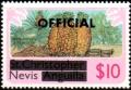 Colnect-2967-038-Pineapples-and-peanuts---overprinted.jpg