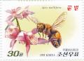 Colnect-3266-444-Honeybee-Apis-mellifera-orchids.jpg