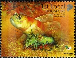 Colnect-1609-962-Singapore-Goby-Amblyeleotris-sp-Blind-Shrimp.jpg