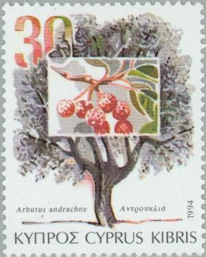 Colnect-179-030-Arbutus-andrachne-Berry-tree.jpg