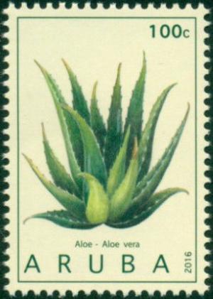 Colnect-3501-805-Aloe-Aloe-vera.jpg
