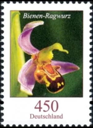 Colnect-4294-722-Ophrys-apifera---Bee-Orchid.jpg