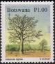 Colnect-1754-808-Baobab-Tree-Adansonia-digitata---Bare.jpg
