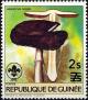 Colnect-2906-143-Agaricus-niger.jpg