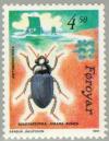 Colnect-157-860-Black-Beetle-Amara-aulica.jpg