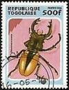 Colnect-2074-515-Golden-Stag-Beetle-Odontolabis-cuvera.jpg