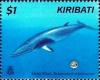 Colnect-2556-699-Minke-Whale-Balaenoptera-acutorostrata.jpg