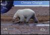 Colnect-2576-214-Polar-Bear-Ursus-maritimus.jpg