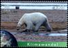 Colnect-2631-073-Polar-Bear-Ursus-maritimus.jpg