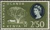 Colnect-3896-953-Candelabra-Tree-and-Black-Rhinoceros-Diceros-bicornis.jpg