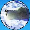 Colnect-4846-415-Baby-harp-seal.jpg