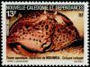 Colnect-574-985-Red-spotted-Box-Crab-Calappa-calappa.jpg