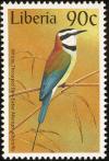 Colnect-745-927-White-throated-Bee-eater%C2%A0Merops-albicollis.jpg