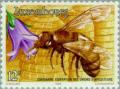 Colnect-134-639-Honey-Bee-Apis-mellifica.jpg