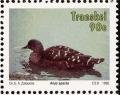 Colnect-1456-732-African-Black-Duck-Anas-sparsa.jpg