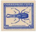 Colnect-1990-435-Grant--s-Stag-Beetle-Chiasognathus-grantil.jpg