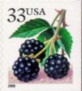 Colnect-201-235-Fruit-BerriesBlackberries.jpg