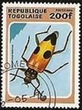 Colnect-2075-022-Long-horned-Beetle-Semanotus-rassicus.jpg