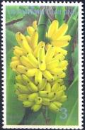 Colnect-2235-040-Banana-Musa-sp.jpg