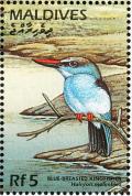 Colnect-4201-300-Blue-breasted-kingfisher.jpg