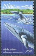 Colnect-4709-941-Minke-Whale-Balaeroptera-acutorostrata.jpg