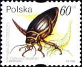 Colnect-4852-235-Great-Diving-Beetle-Dytiscus-marginalis.jpg