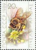 Colnect-580-236-Honey-Bee-Apis-mellifica.jpg