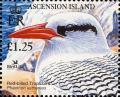 Colnect-6490-582-Red-billed-tropicbird.jpg