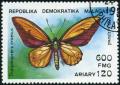Colnect-953-345-Wallace-s-Golden-Birdwing-Trogonoptera-croesus.jpg