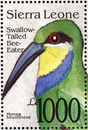 Colnect-1617-961-Swallow-tailed-Bee-eater-Merops-hirundineus.jpg